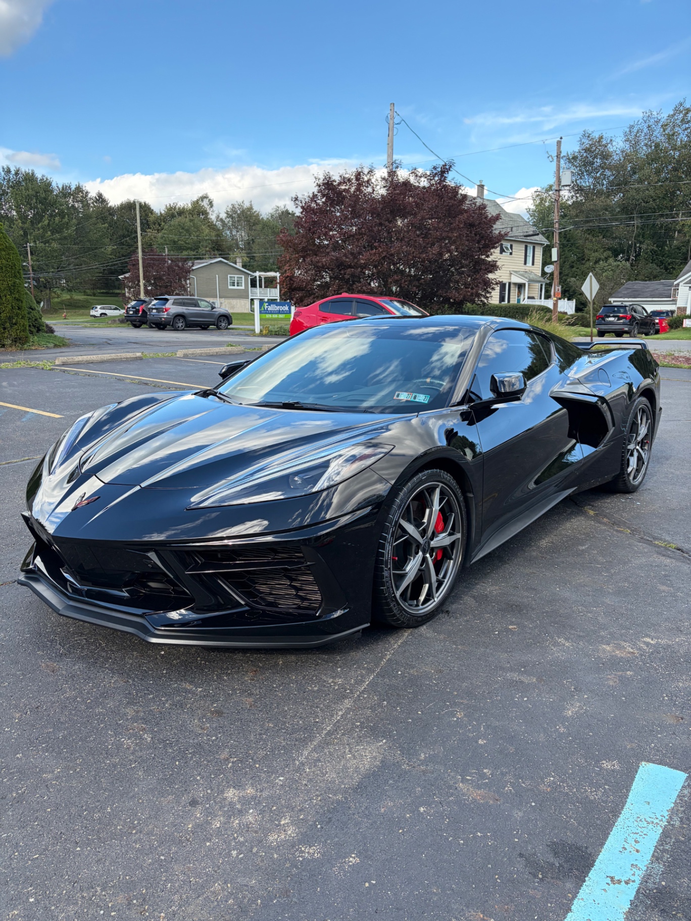 Black Corvette after paint correction