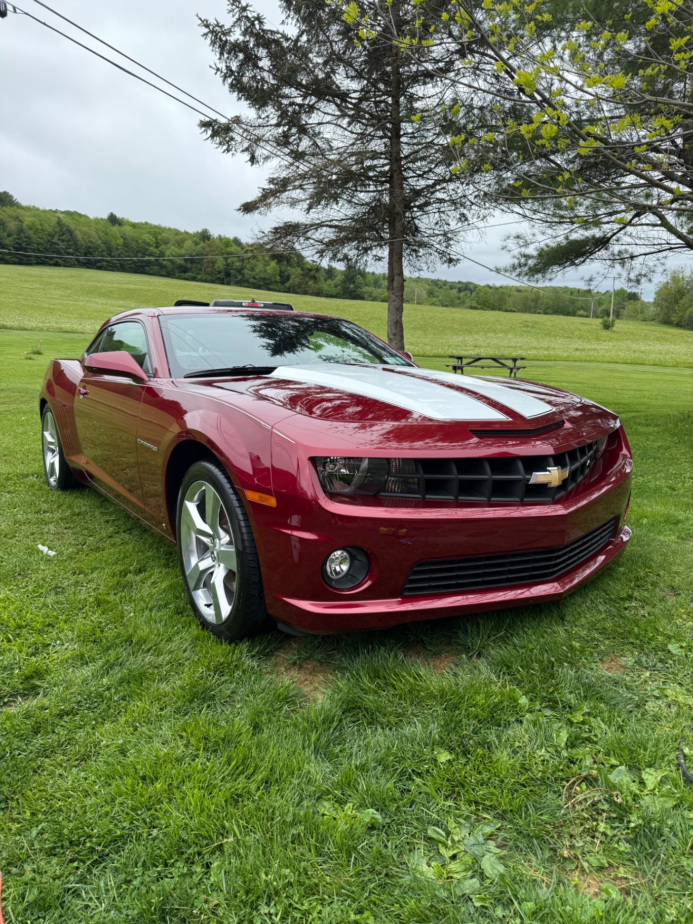 Red Chevrolet Camaro SS front three-quarter after detail